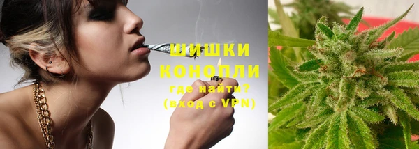 mdpv Медвежьегорск