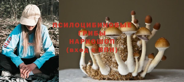 гашишное масло Михайлов