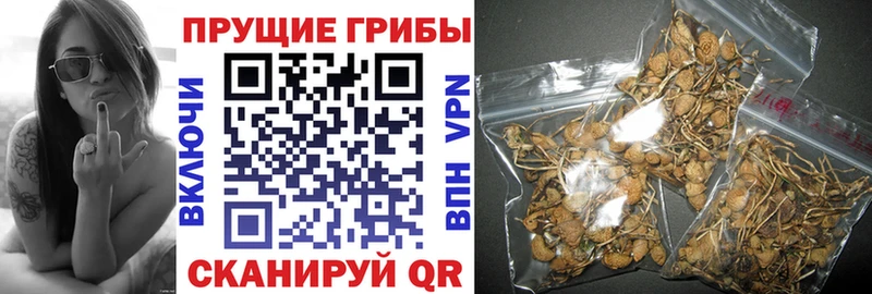 что такое   Среднеколымск  Галлюциногенные грибы мицелий 