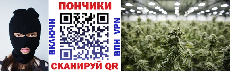 где найти Среднеколымск shop наркотические препараты Бошки марихуана White Widow